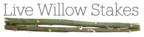 willow stakes | Willow Stakes For Sale